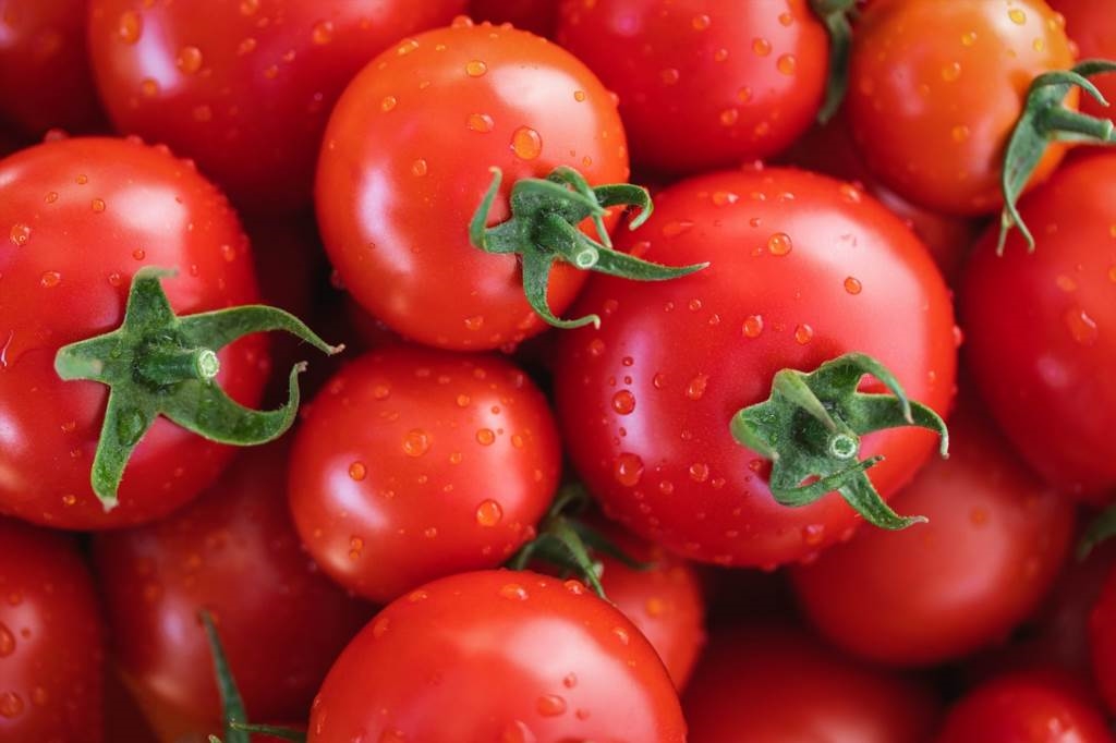jak uzyskać nasiona pomidorów