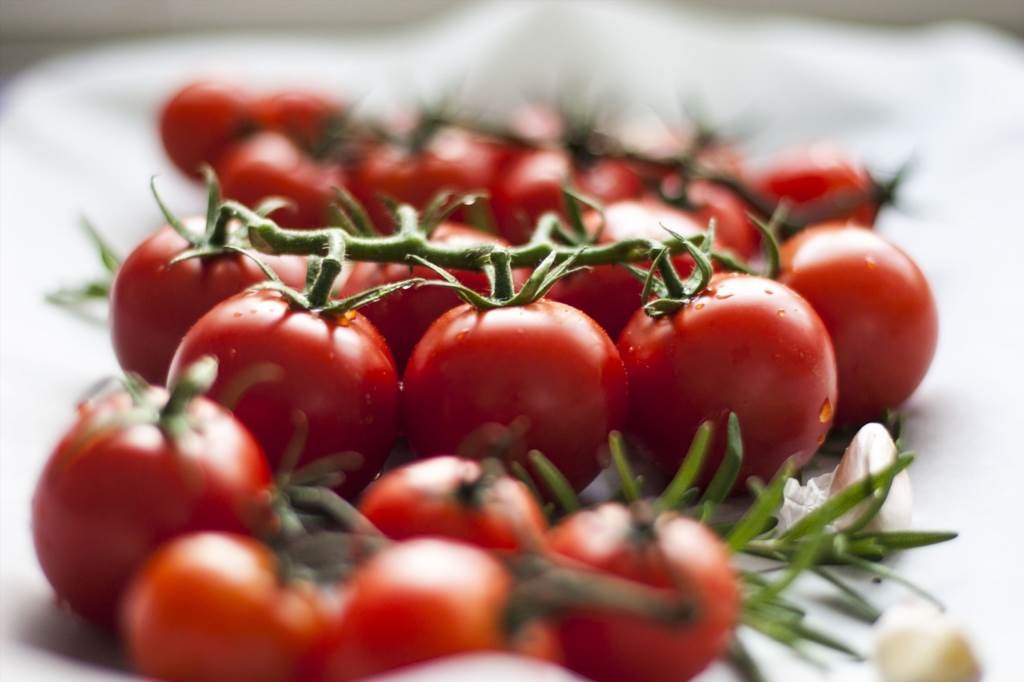 jak zbierać nasiona pomidorów