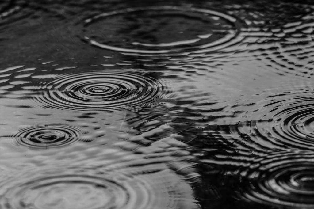 krople wody po deszczu